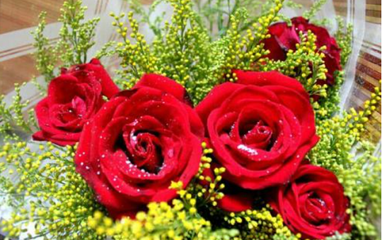 北京韋林意威特工業(yè)內(nèi)窺鏡有限公司預(yù)祝大家新年快樂(lè)，喜樂(lè)安康！